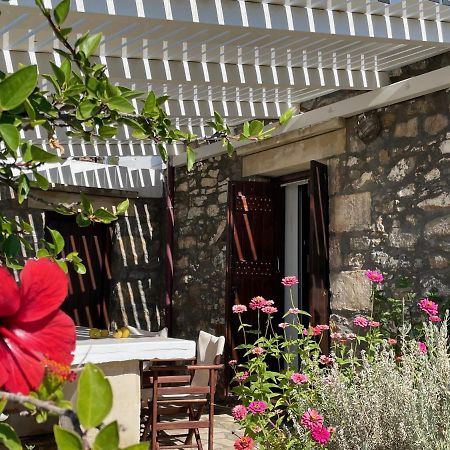Villa La Familia Maison Traditionnelle 플라키아스 외부 사진