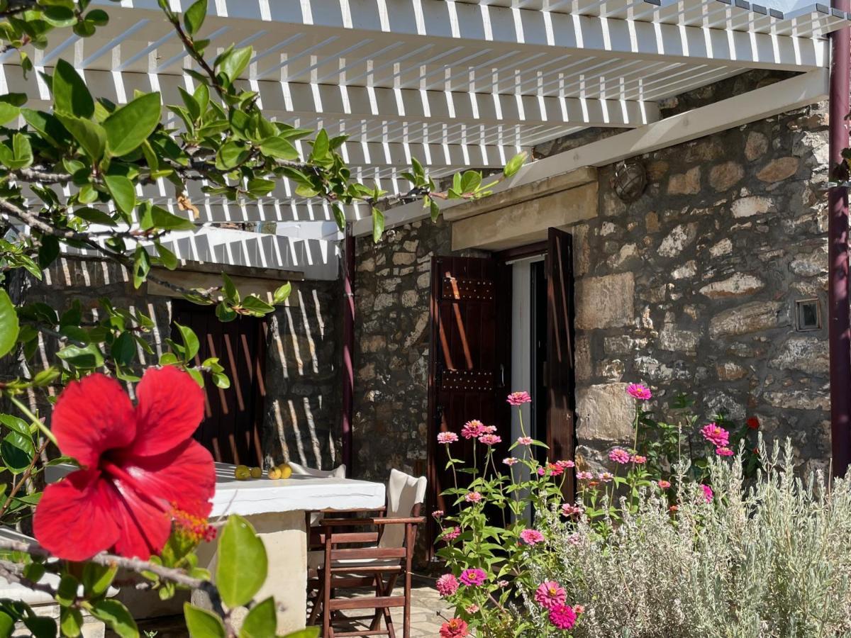 Villa La Familia Maison Traditionnelle 플라키아스 외부 사진